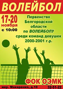Первенство Белгородской области по волейболу