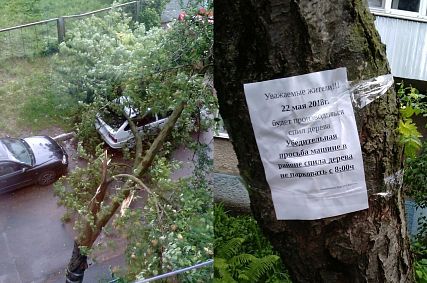 Непогода в Старом Осколе утихает