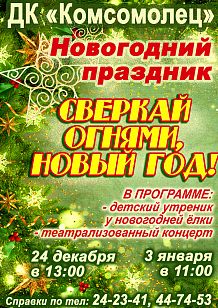 Сверкай огнями, Новый год!