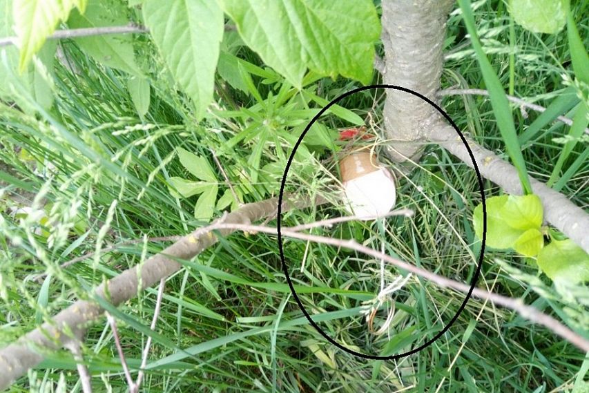 Вблизи старооскольского полигона ТБО обнаружены самодельные «растяжки»
