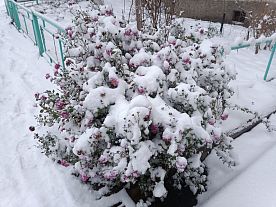 Снегопад в Старом Осколе