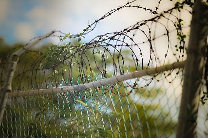 Вынесены приговоры по двум резонансным преступлениям в Старом Осколе