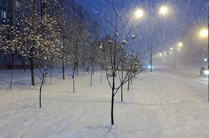 Вчерашний снегопад в Старом Осколе – не последний (фоторепортаж)