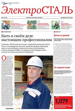 Газета "Электросталь" №32 (2014)