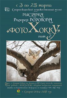 Выставка Валерия Воронова «Фото Хокку» (том II)