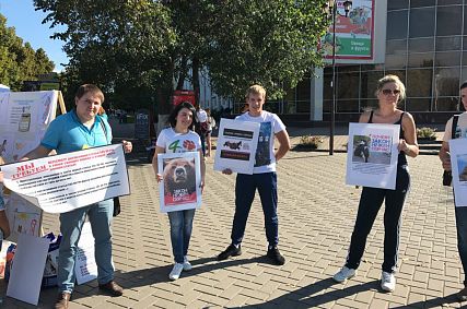 В Старом Осколе зоозащитники провели пикет
