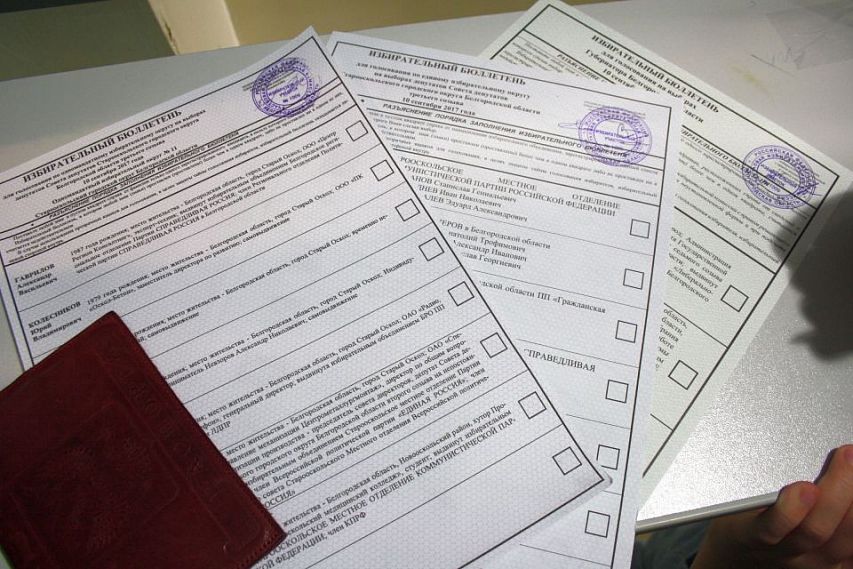 Стали известны предварительные итоги голосования в Белгородской области