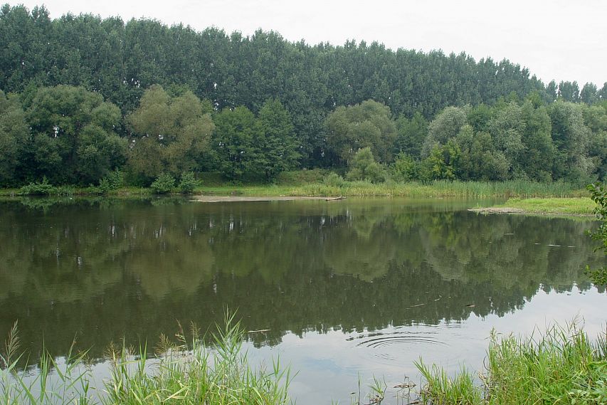 Белгородская область вошла в десятку лидеров экологического рейтинга «Зелёного патруля»