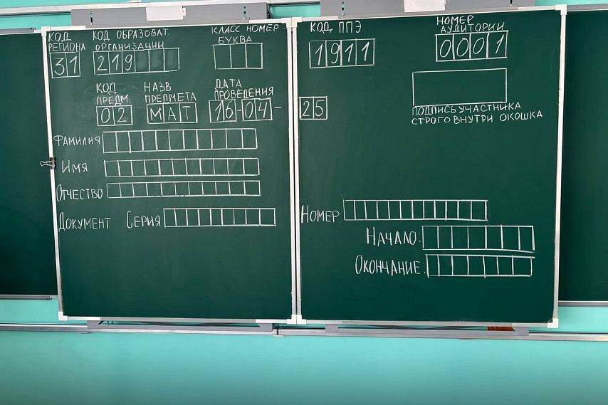 Когда старооскольские выпускники будут сдавать ОГЭ и ЕГЭ в 2026 году