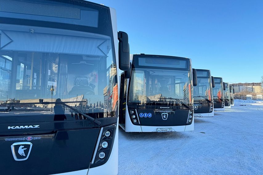 В Старом Осколе приостановили движение автобусов по новому маршруту