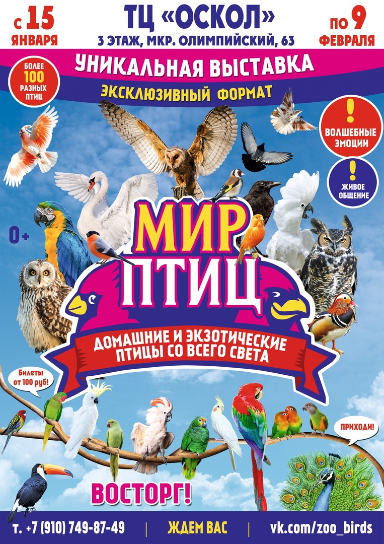 Выставка «Мир птиц»