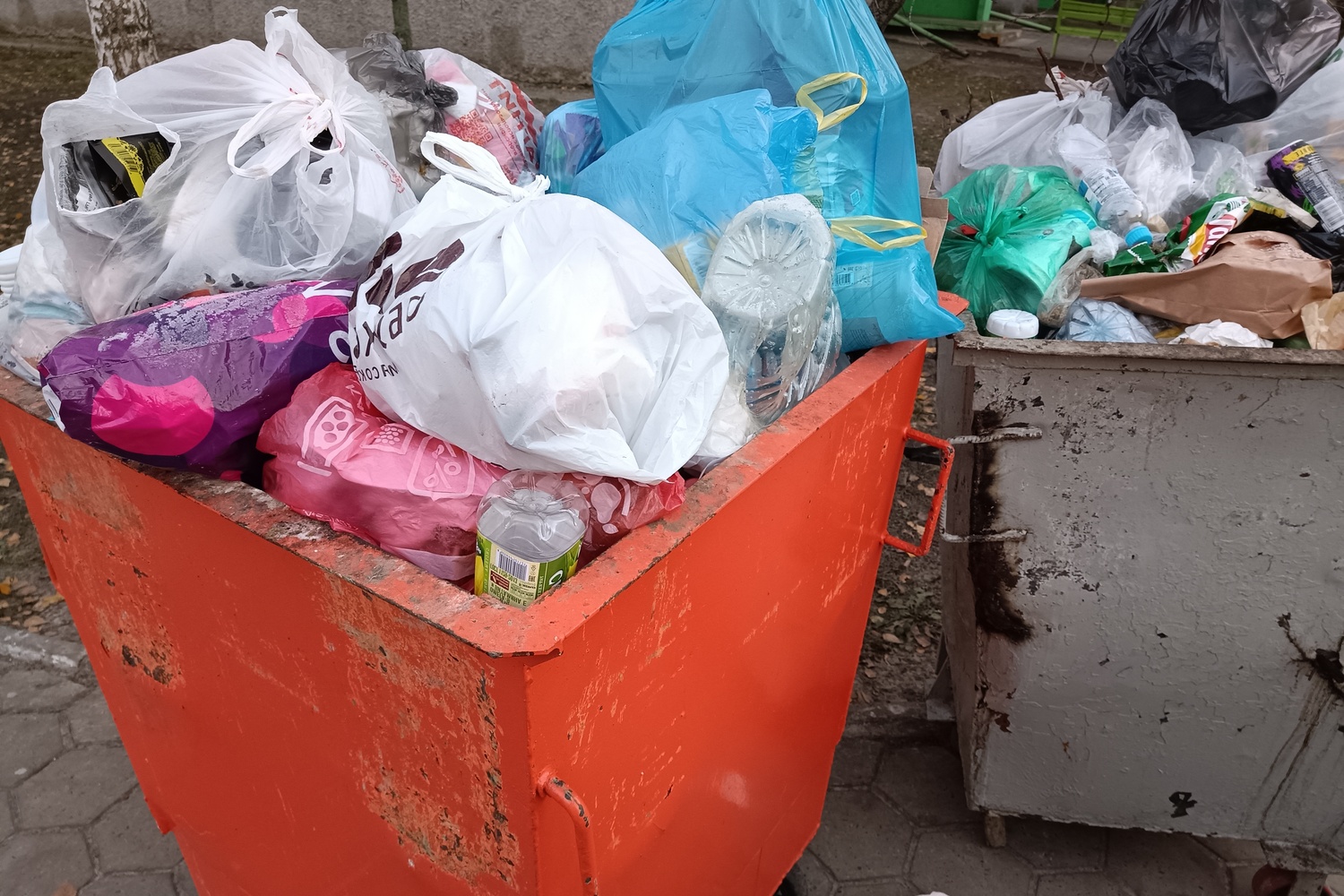 Почти 278 кг мусора накапливает каждый житель Белгородской области за год