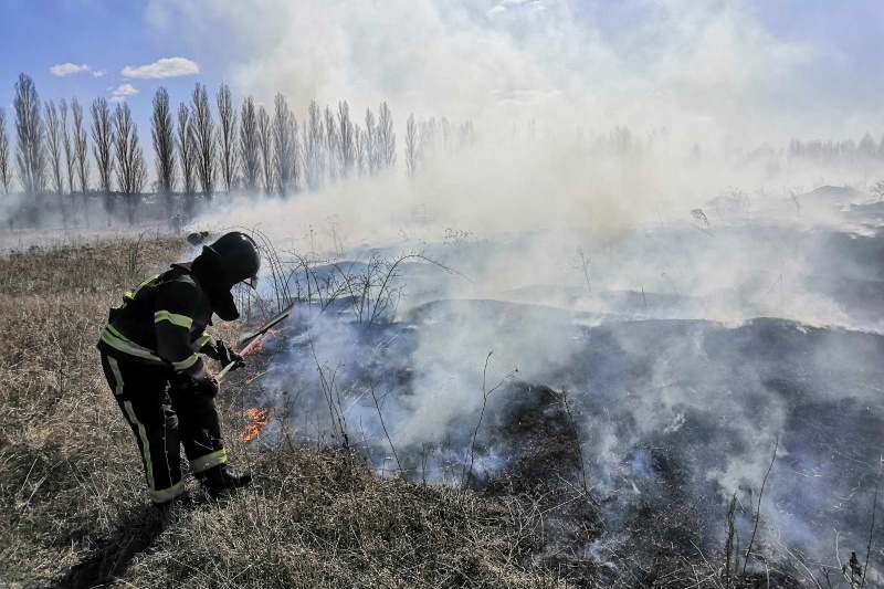 В Белгородской области пожарные тушат сухую траву