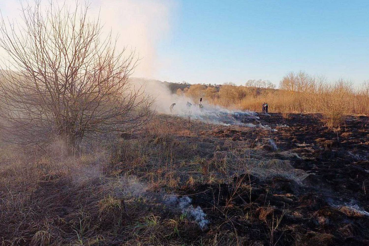 В Старом Осколе впервые в этом году зарегистрировали случай возгорания сухой травы