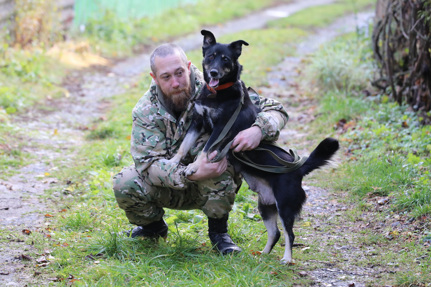 Старооскольцы могут взять домой надёжного друга
