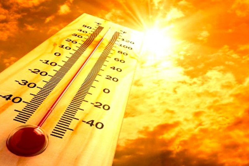 На территории Белгородской области прогнозируется жара до 40 градусов