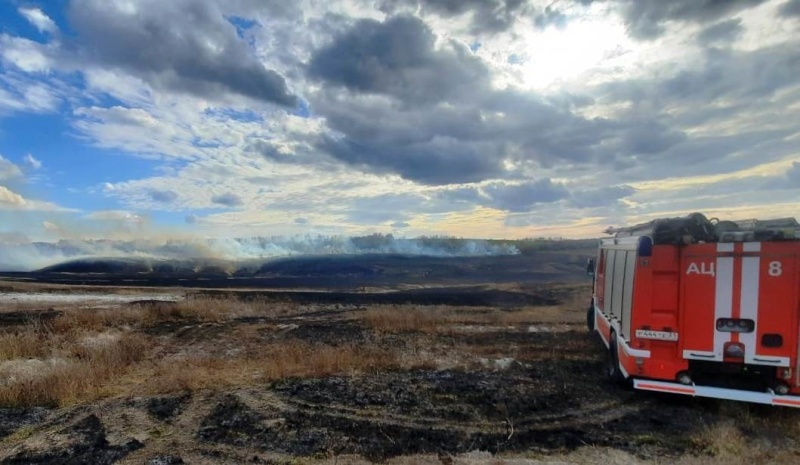97 ландшафтных пожаров потушили белгородские спасатели на неделе