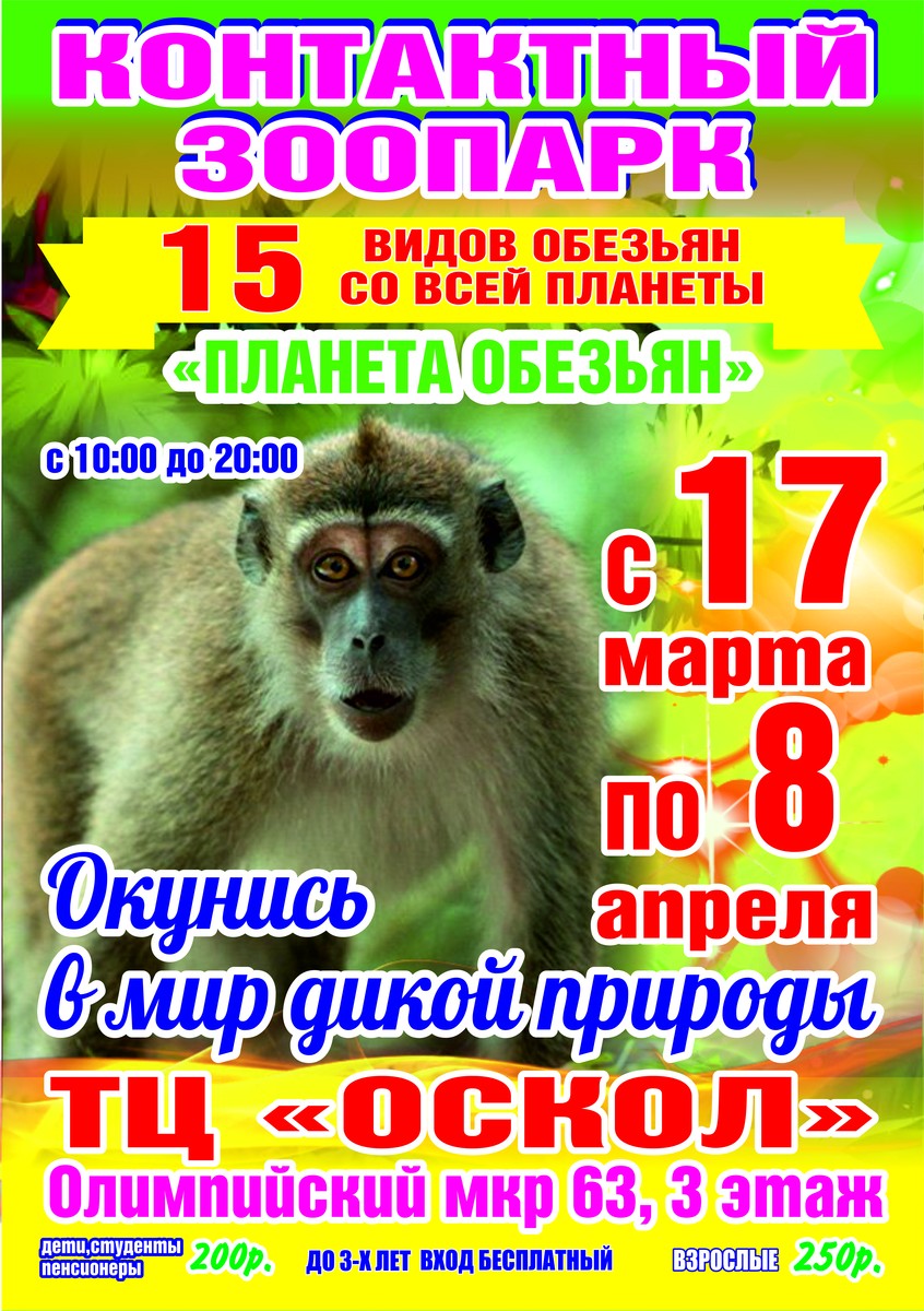 Контактный зоопарк «Планета обезьян»