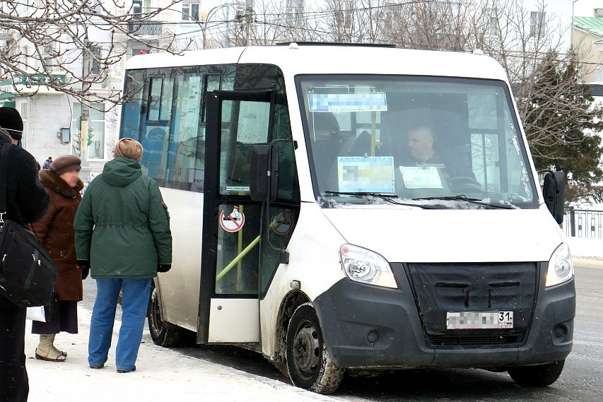 153 автобус белгород