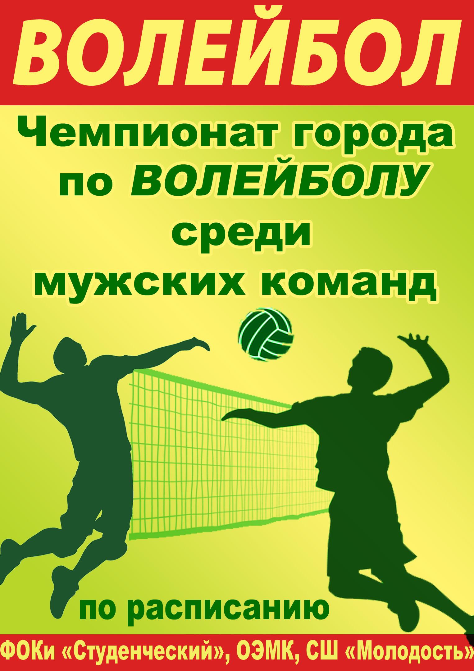 Чемпионат города по волейболу среди мужских команд