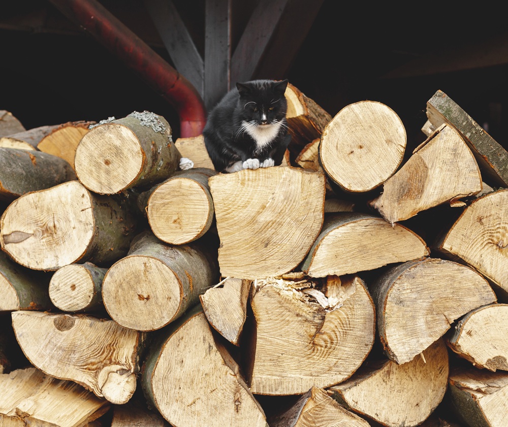 В Старом Осколе перевыполнили план по заготовке дров для домов с печным отоплением