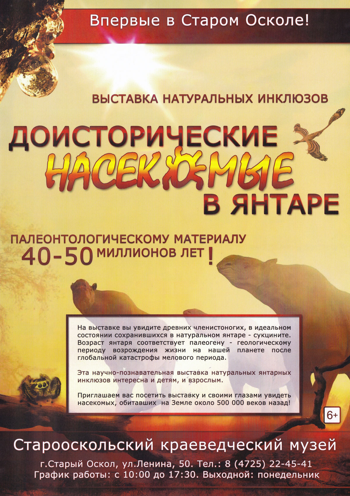 Выставка натуральных инклюзов «Доисторические насекомые в янтаре»