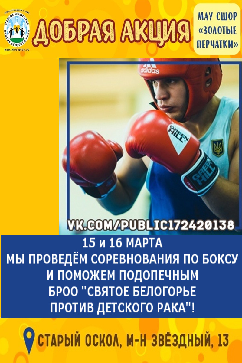 Благотворительный турнир по боксу
