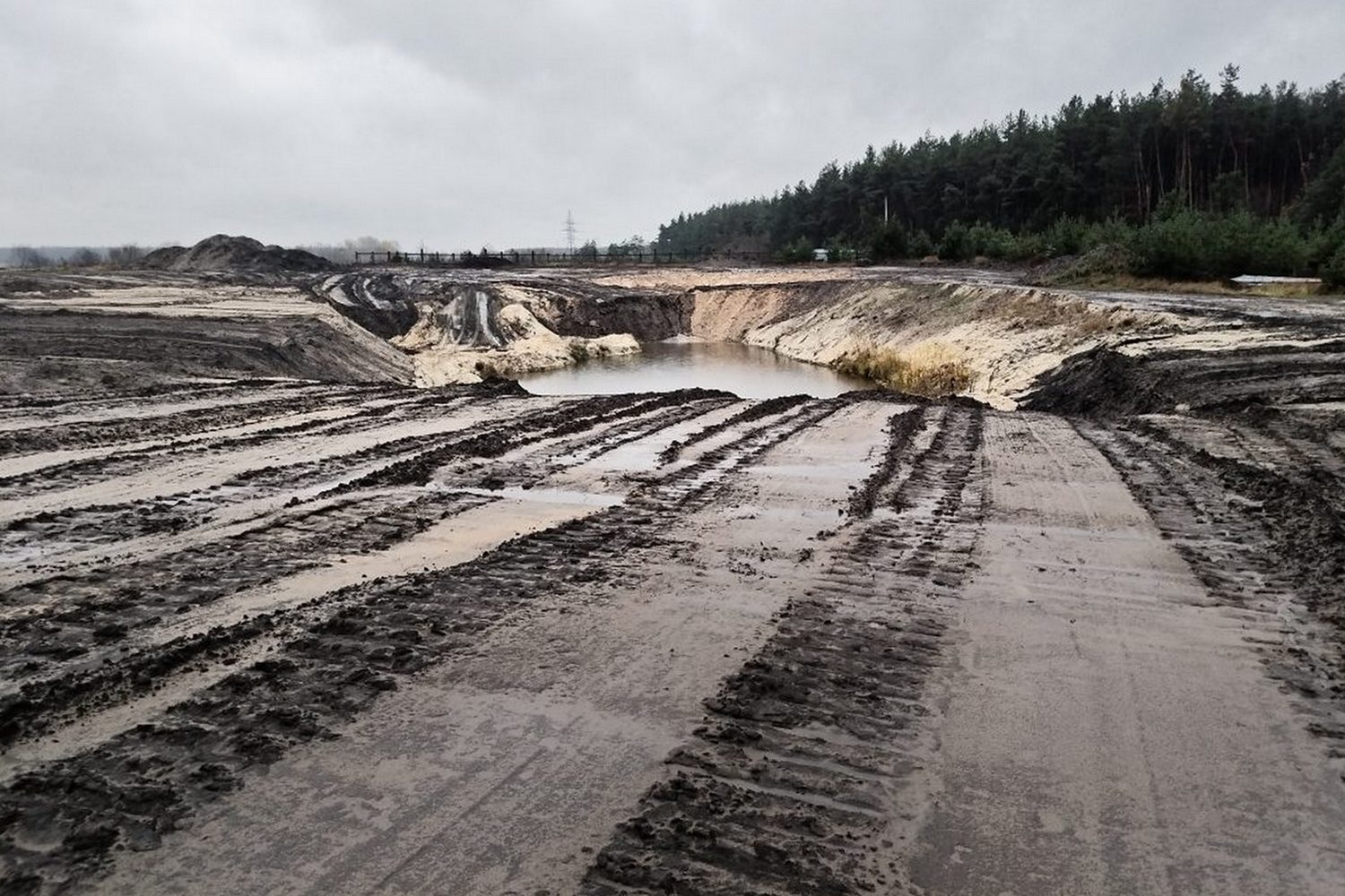 Старооскольского предпринимателя оштрафовали за уничтожение плодородной почвы