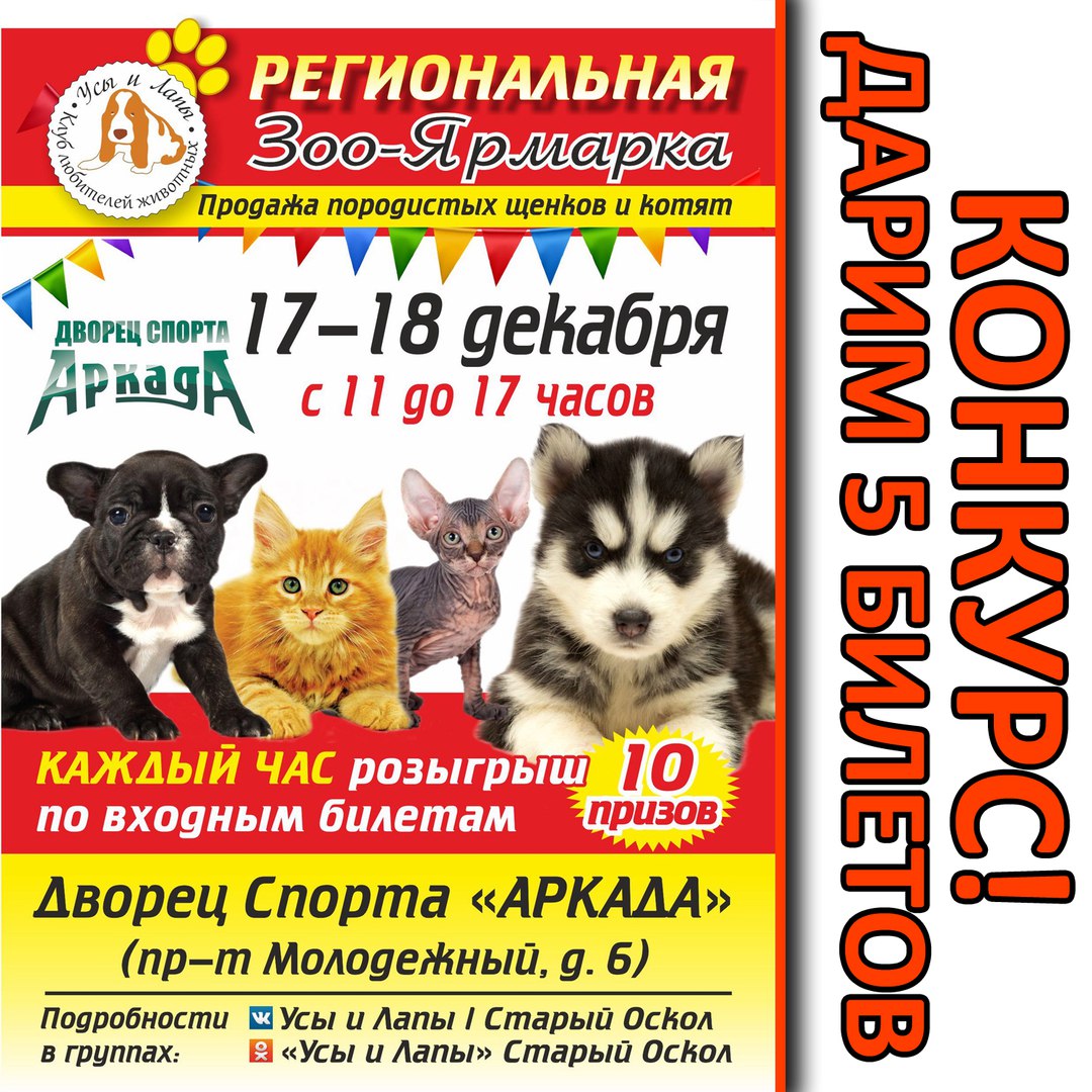 Зоо-Ярмарка «Усы и Лапы»
