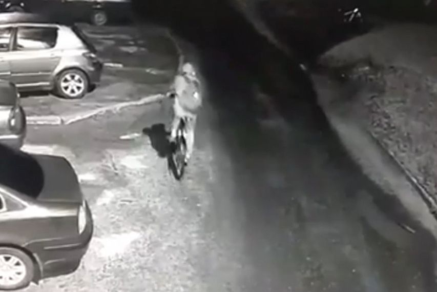 Старооскольцу назначили 480 часов работ за кражи велосипедов и культивирование наркорастений