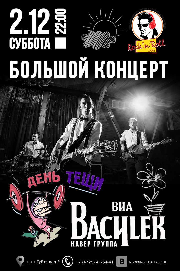Большой концерт кавер-группы ВИА «Василёк» «День рожденья тёщи»