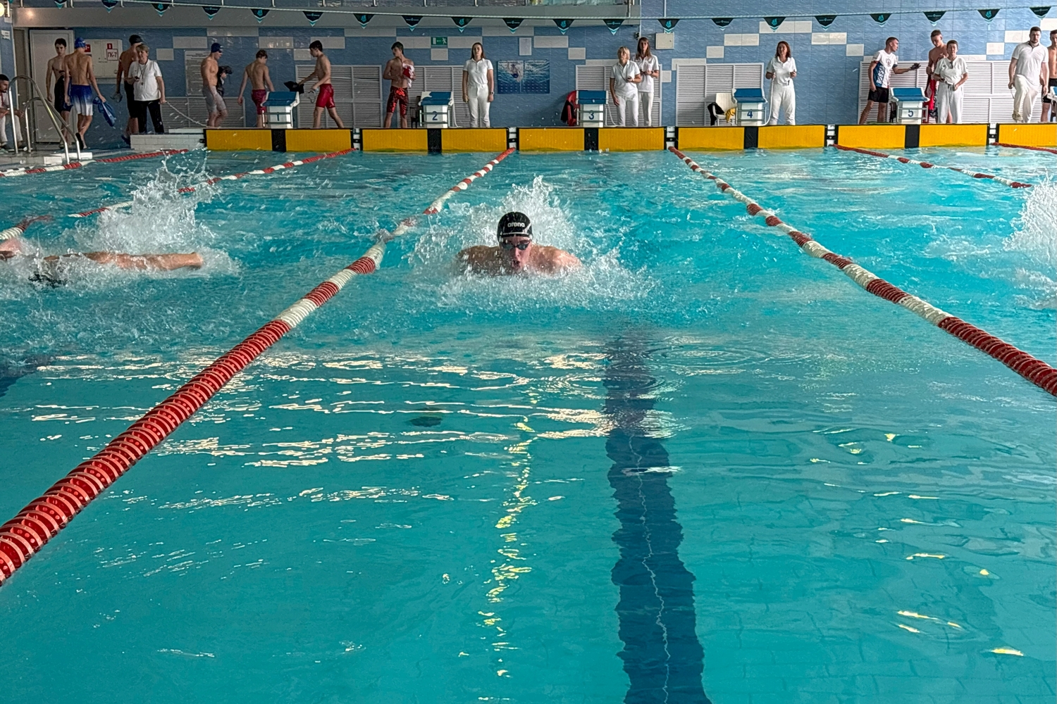 Старооскольские пловцы завоевали 51 медаль на региональных соревнованиях