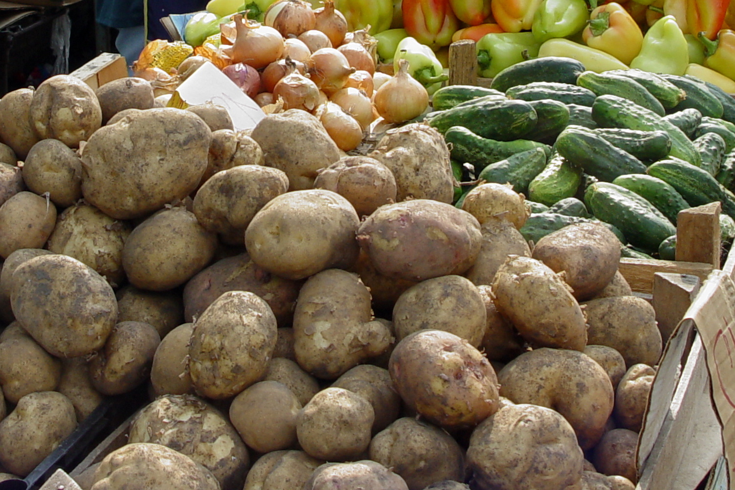 Пять порций здоровья: сколько овощей и фруктов нужно есть каждый день