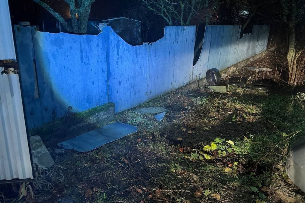 БПЛА в дом3.jpg