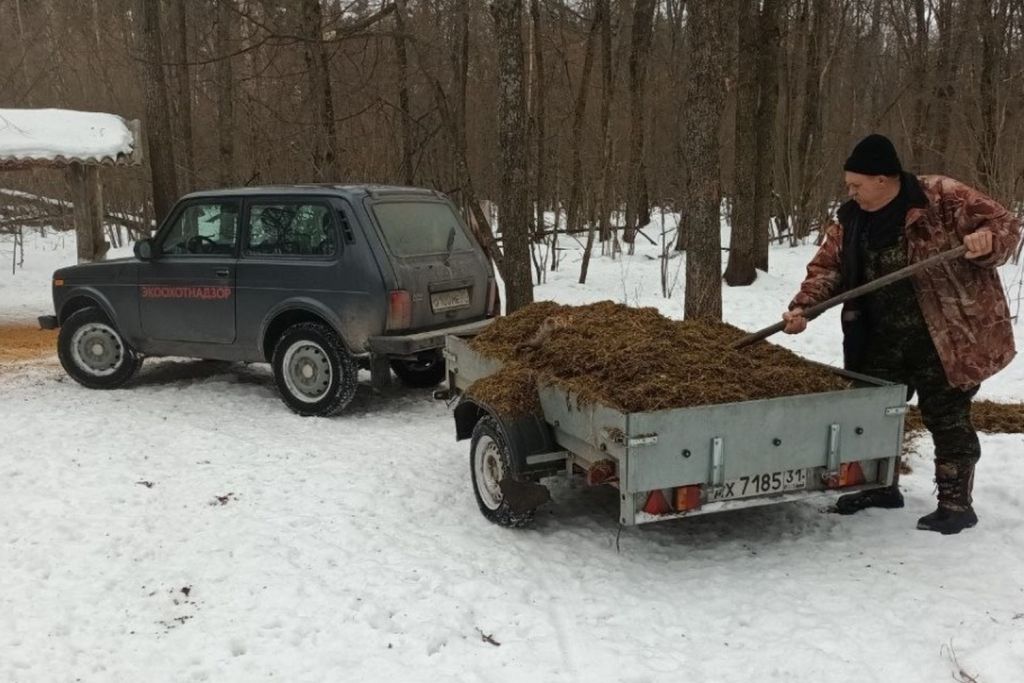 Силос3.jpg