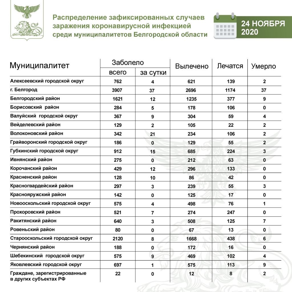 24 ноября.jpg