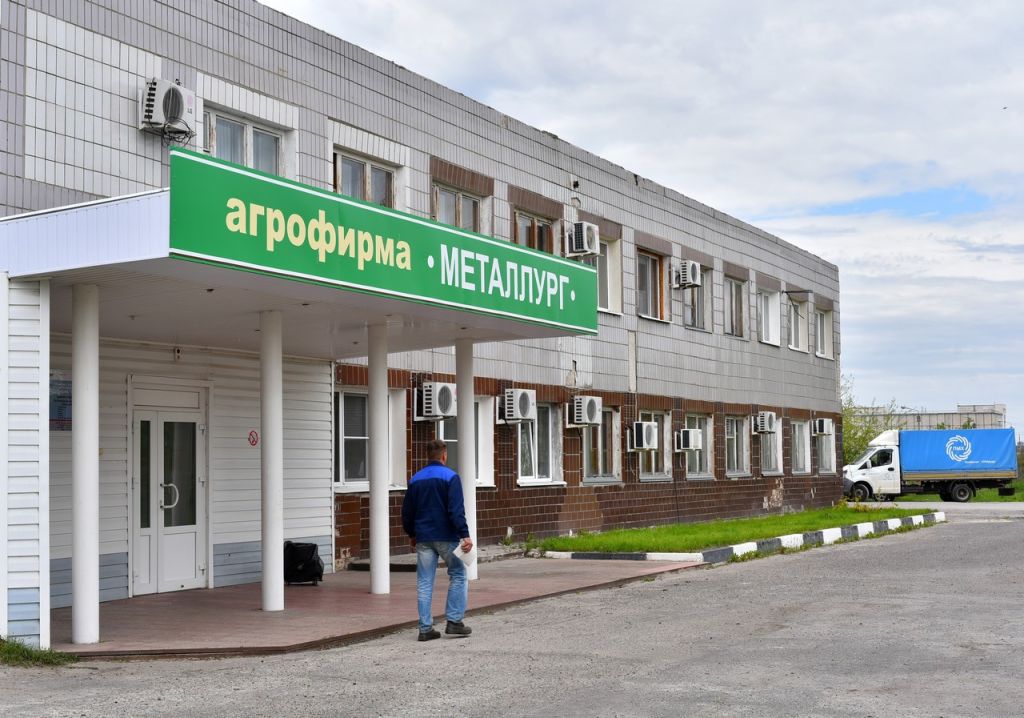 Пчёлы