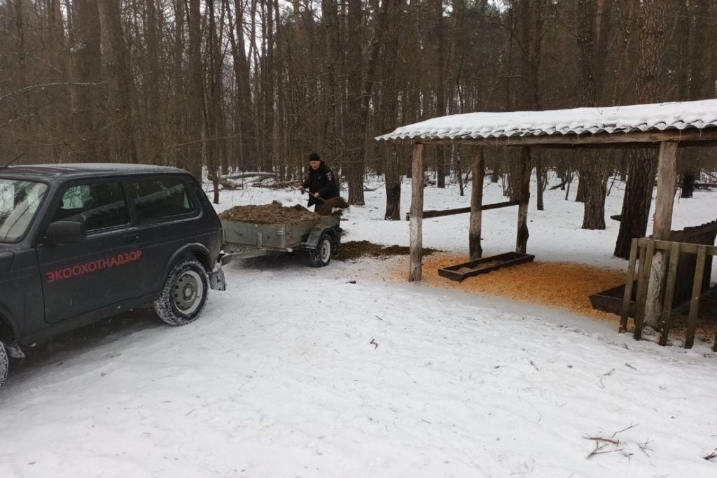 Силос1.jpg