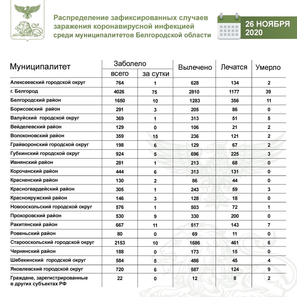 26 ноября.jpg