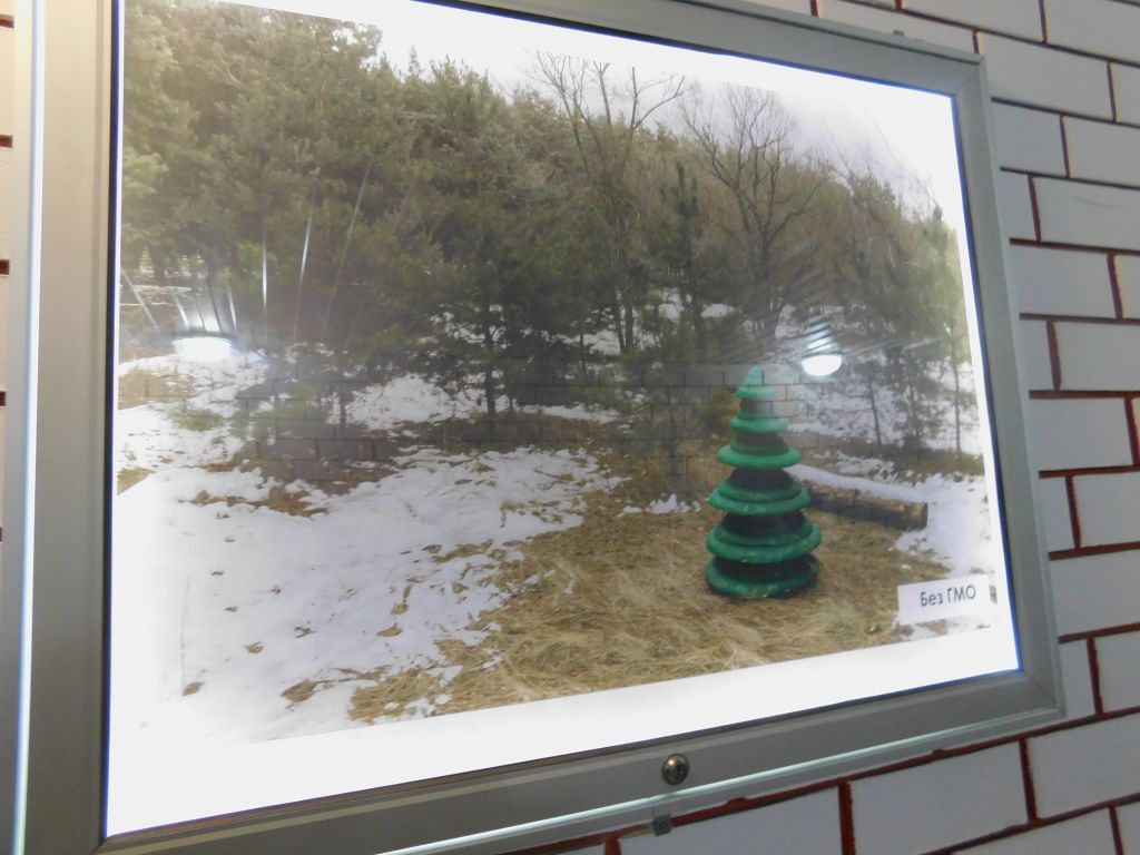 DSCN4725.JPG