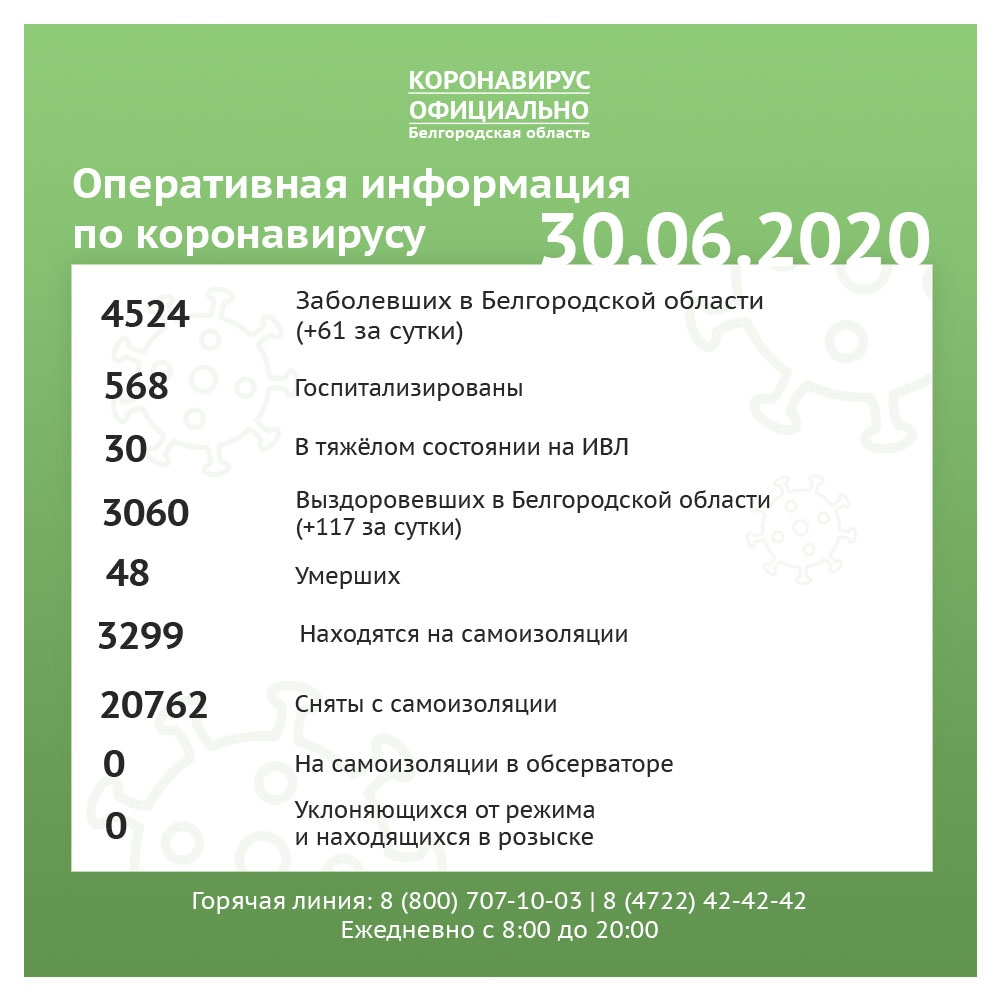 NpgoQ9rTrY4.jpg