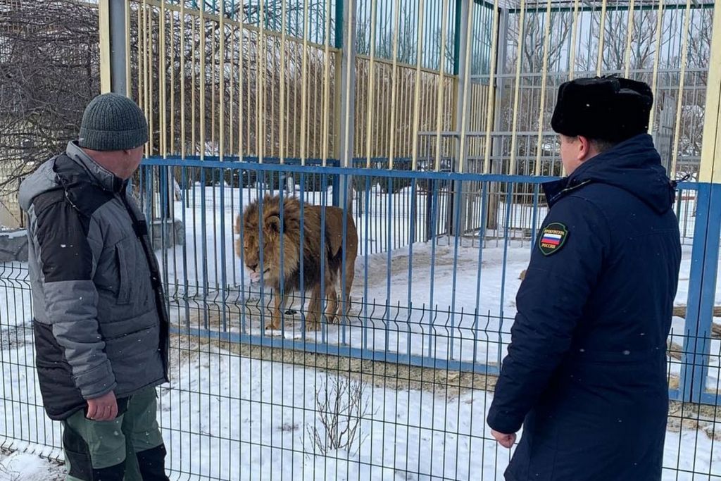 Прокуратура3.jpg