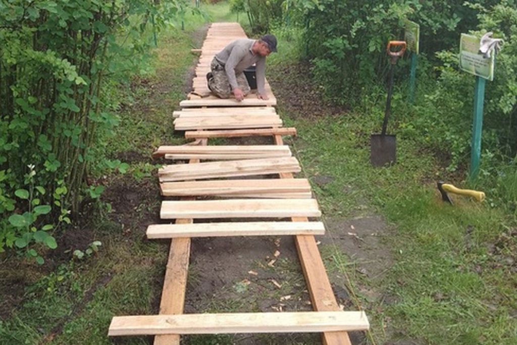 Экотропа.jpg