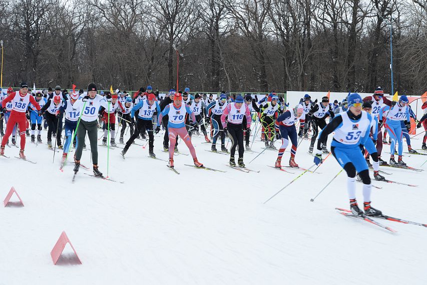 Старооскольские лыжники приняли участие в «Лыжне России»