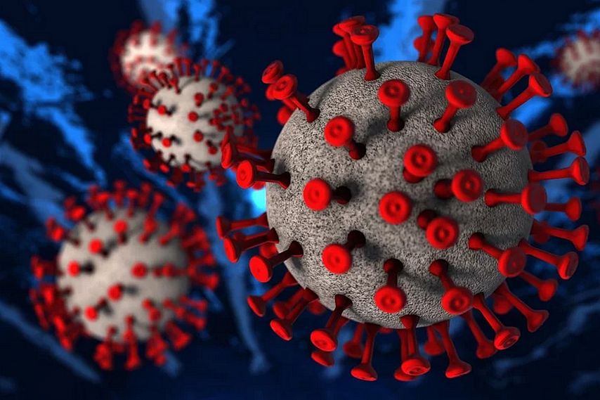 За сутки в Белгородской области ещё три человека заболели коронавирусом