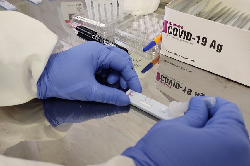Ещё 75 жителей Белгородской области заразились коронавирусом