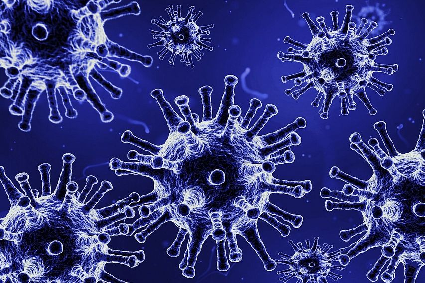 Ещё у 11 жителей Старого Оскола выявили коронавирус