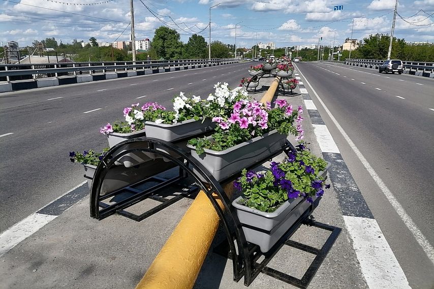 12 млн рублей планирует выделить администрация Старого Оскола на вазоны для цветов
