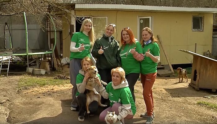 Работники ОЭМК провели субботник в приюте для животных «Умка»