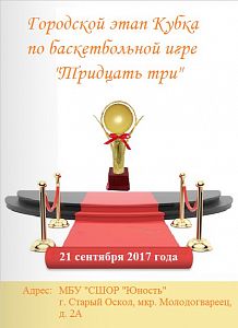 Городской этап Кубка по баскетбольной игре «Тридцать три»